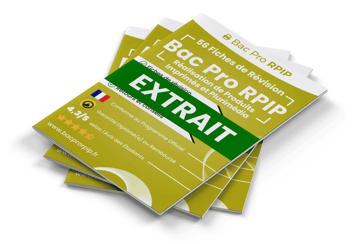 15 Fiches Révision gratuites Bac Pro RPIP
