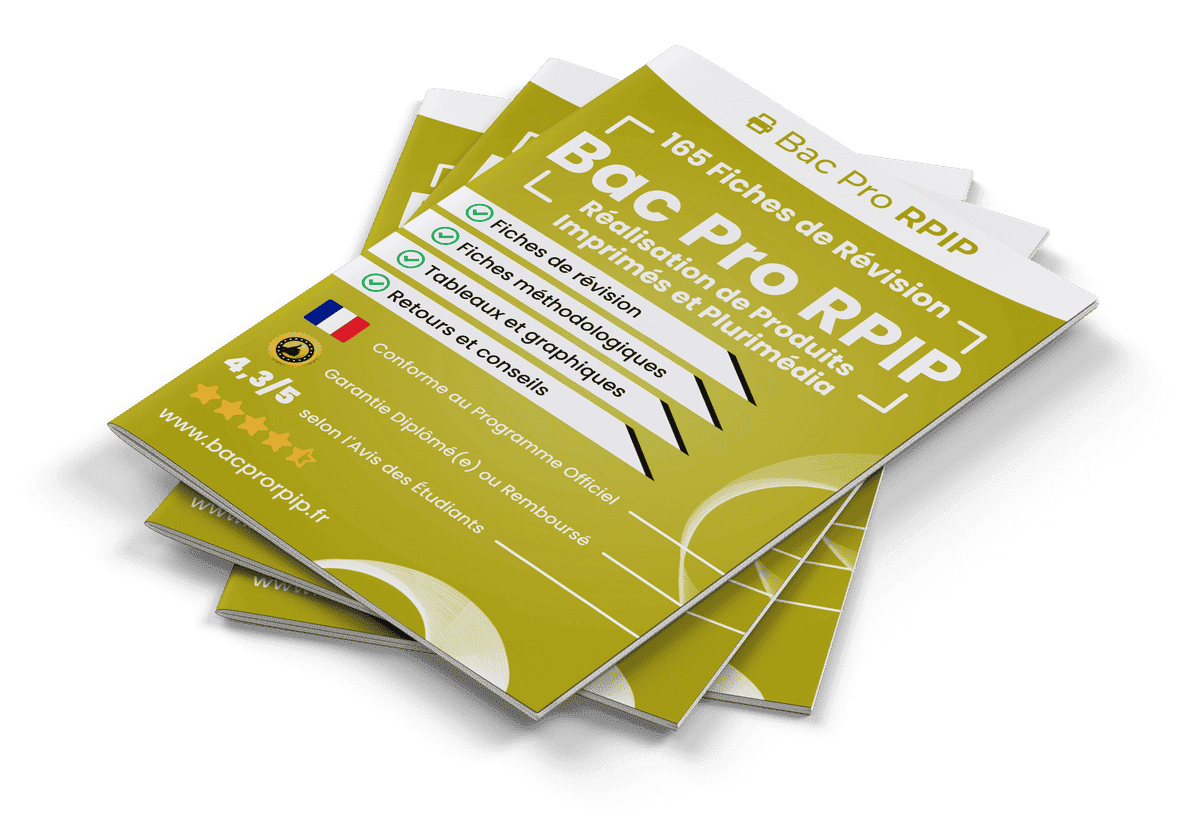 165 Fiches de Révision pour le Bac Pro RPIP